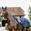 Kentucky Riding Rug Navy